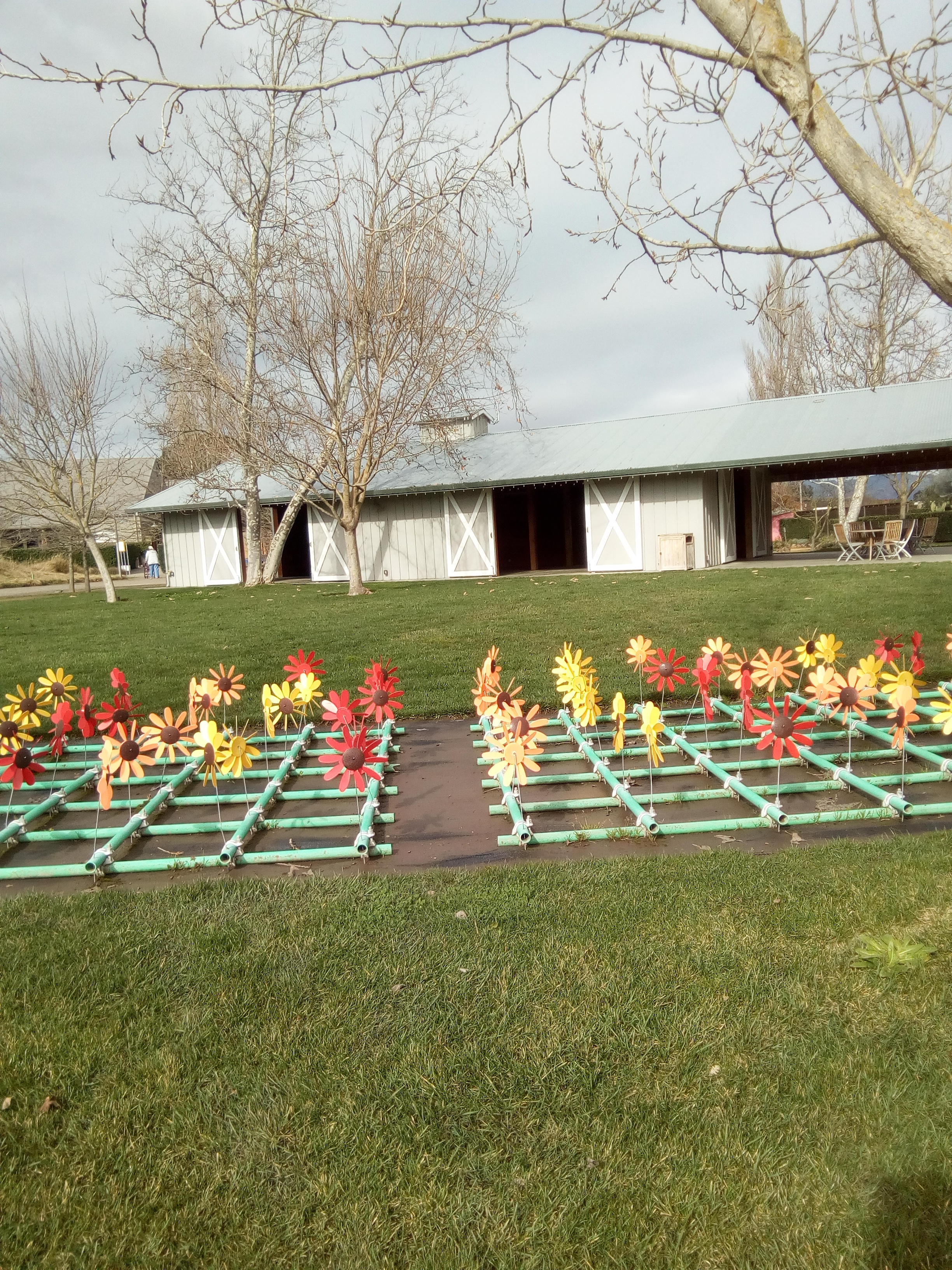 Graphic Cornerstone, Sonoma